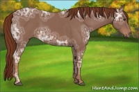Horse Color:Chestnut Ice 