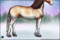 Horse Color:White Spotted Chocolate Bay Onyx