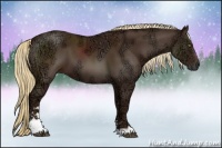 Horse Color:Liver Chestnut Ice Sabino 