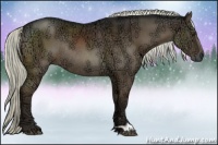 Horse Color:Liver Chestnut Ice Rabicano