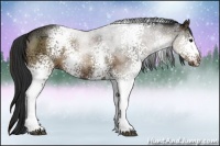 Horse Color:White Spotted Brown Ice Roan Dun