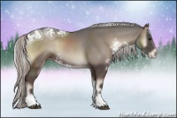 Horse Color:Silver Blue Onyx Ice Sabino Rabicano 