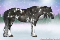 Horse Color:White Spotted Grullo Ice Tobiano 