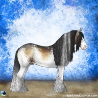 Horse Color:White Spotted Brown Onyx Splash Rabicano