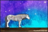 Horse Color:Nacre Black Ice Sabino Rabicano