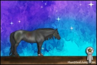 Horse Color:Black Sabino Rabicano 