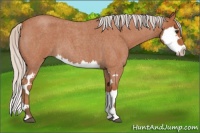 Horse Color:Silver Bay Roan Splash
