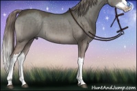 Horse Color:Chocolate Palomino Dun Splash