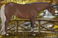 Horse Color:Silver Brown 