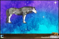 Horse Color:Nacre Black Ice Sabino Rabicano 