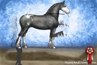 Horse Color:Black Sabino Appaloosa Rabicano