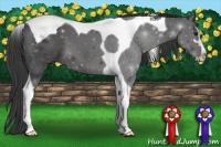 Horse Color:Smoky Black Sabino Tobiano 