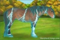 Horse Color:Thunderstruck Buckskin Varnish 