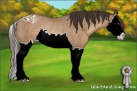 Horse Color:Sable Champagne Splash Appaloosa Rabicano