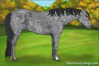 Horse Color:Black Ice 