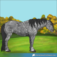 Horse Color:Black Ice