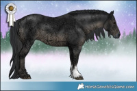 Horse Color:Black Ice Sabino
