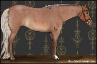 Horse Color:Chocolate Silver Bay Roan Rabicano