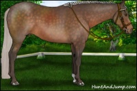 Horse Color:Silver Brown 