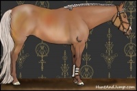 Horse Color:Chocolate Silver Bay 