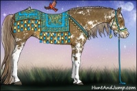 Horse Color:Chocolate Palomino Sabino 