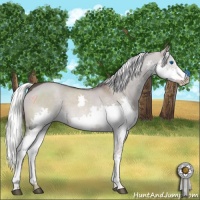 Horse Color:Liver Red Dun Splash 