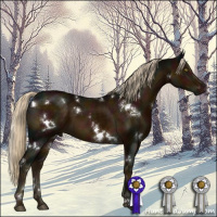 Horse Color:White Spotted Midnight Chocolate Palomino Mushroom