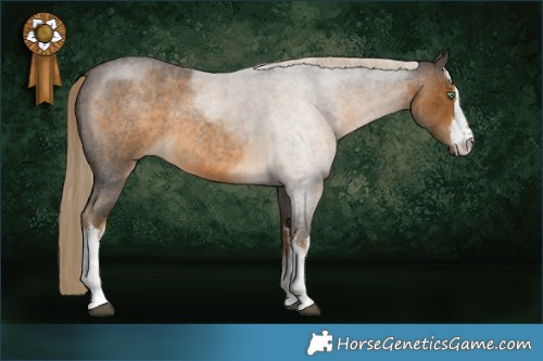 Horse Color:White Spotted Chocolate Palomino Roan Mushroom