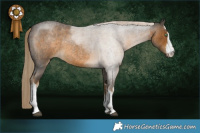 Horse Color:White Spotted Chocolate Palomino Roan Mushroom