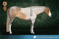 Horse Color:White Spotted Chocolate Palomino Roan Mushroom