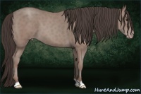 Horse Color:Classic Champagne 