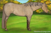 Horse Color:Chocolate Palomino Roan Dun 