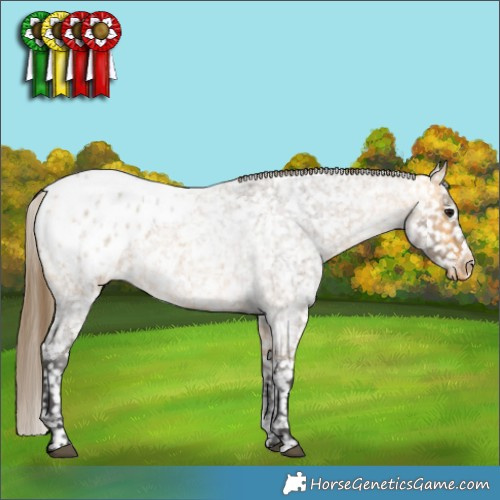Horse Color:Buckskin Roan Appaloosa Rabicano 