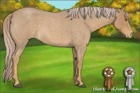Horse Color:Palomino Roan Varnish 