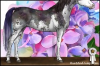 Horse Color:Midnight Smoky Blue Onyx Ice Splash 