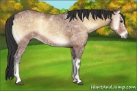 Horse Color:Brown Ice Onyx 