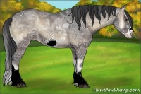 Horse Color:Blue Onyx Ice Splash Frame