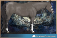 Horse Color:White Spotted Smoky Grullo Splash Tobiano 