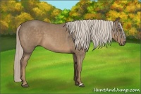 Horse Color:Chocolate Palomino Roan