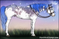 Horse Color:Watercolor White Spotted Brown Ice Splash Rabicano 