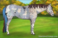 Horse Color:ERROR: UNKNOWN ANOMALY and Chocolate Smoky Blue Onyx Ice Roan 