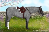 Horse Color:Smoky Blue Roan