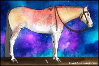 Horse Color:White Spotted Chocolate Palomino Ice Onyx