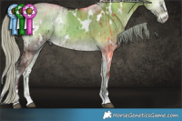 Horse Color:White Spotted Silver Smoky Grullo Onyx Brindle