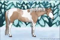 Horse Color:Black Pearl Splash Tobiano 