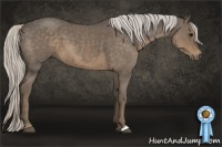 Horse Color:Silver Smoky Blue Roan 