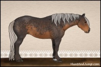 Horse Color:Silver Smoky Black Sabino