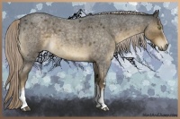 Horse Color:White Spotted Chocolate Palomino Roan 