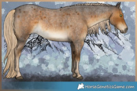 Horse Color:White Spotted Chocolate Palomino Roan 