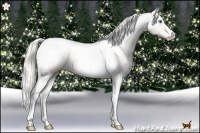 Horse Color:Silver Black Pearl Splash Tobiano Appaloosa 